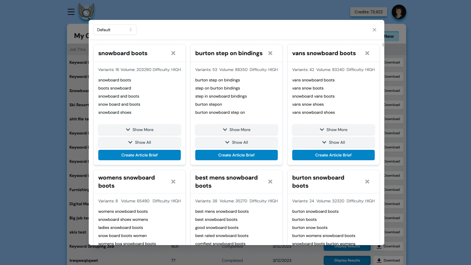 Optiwing Keyword Grouping Results